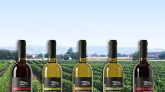 copertina-tonello-vini-etichette