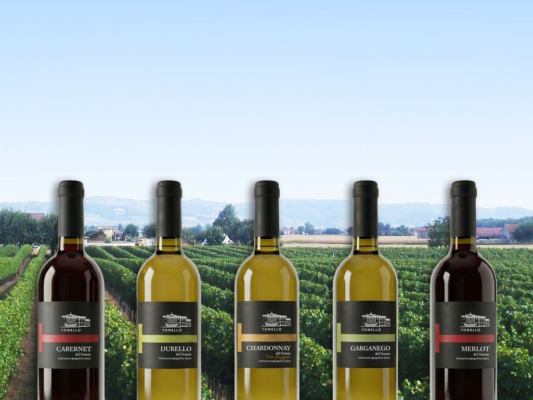 copertina-tonello-vini-etichette