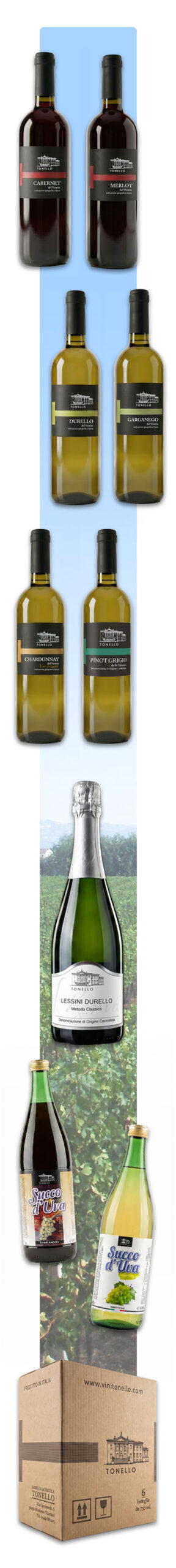 Progettazione grafica etichette vino