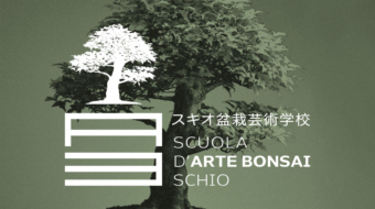 00-copertina-scuola-arte-bonsai-schio